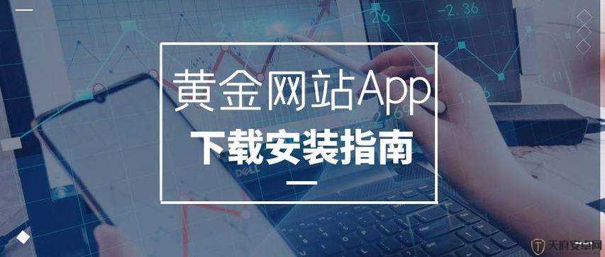 黄金站 APP 观看下载便捷通道等你来探索